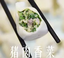 Pork and Cilantro Dumplings