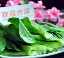 Baby Bok Choy