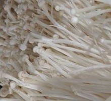 Enoki Mushroom