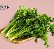 Cilantro