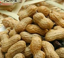 Boiled Peanuts
