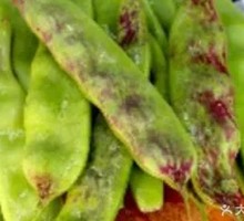 Northeastern Fried Green Beans