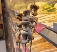 Sheep Intestine