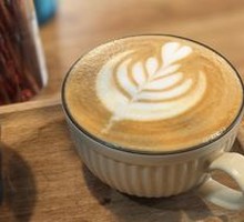 Typica Cold Brew