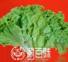Romaine Lettuce