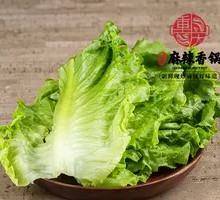 Romaine lettuce