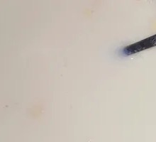 Stone-ground Soy Milk