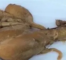 Braised Chicken Thigh