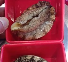 Fresh Large Abalone