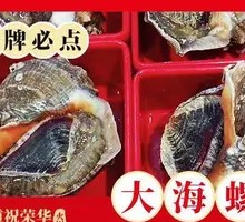 Giant Abalone