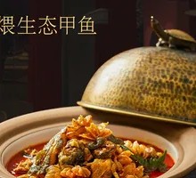 Braised Ecological Softshell Turtle with Bull Penis