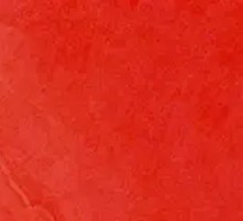 Pine Forest Boiled Pot