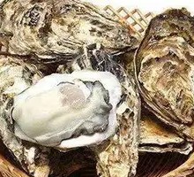 Steam-Boiled Oysters in Pressure Cooker