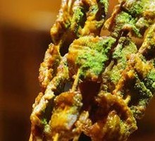 Spicy Beef Skewers with Small Fan