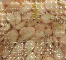 Steamed White Shrimp