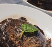 Braised Softshell Turtle