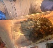 Steamed glutinous rice cake