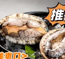 Dalian Live Abalone