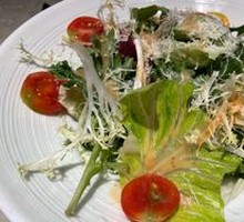 Organic Vegetable Avocado Salad Roll