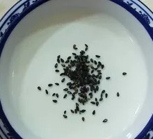 Qinghai Traditional Yogurt