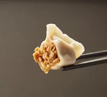 Pork and Sauerkraut Dumplings