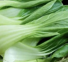 Chinese Cabbage (Two Stalks)