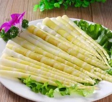 Bamboo Shoot Tips
