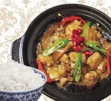 Stewed Chicken with Brown Sauce