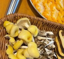 Yunnan Mushroom Assortment