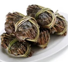 Female Soft-Shelled Crab