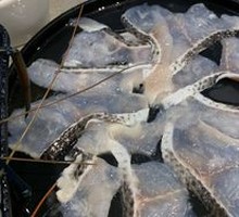 Mountain and Sea Spotted Fish Slices