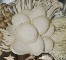 Mixed Mushroom Platter
