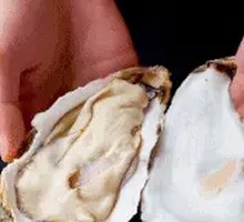 Garlic Steamed Oysters