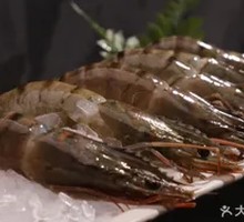 Large Sea Shrimp