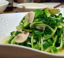 Oyster Mushroom and Chinese Cabbage