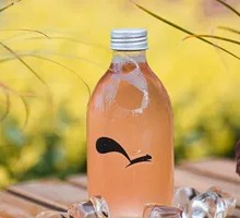 Grapefruit Jasmine Sparkling Tea