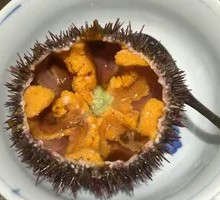 Sea Urchin