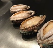 Australian Abalone