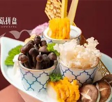 Mushroom Assortment Platter