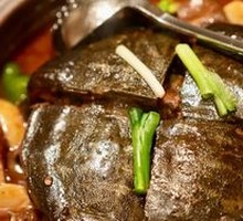 Firewood High Mountain Cold Water Turtle