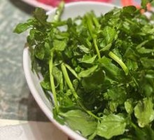 Cantonese Watercress