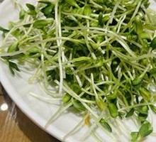 Spring Vegetable Shoots
