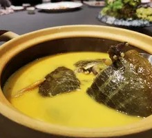 Stewed Softshell Turtle