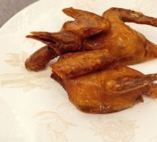 Tang Palace Gold Medal Pigeon