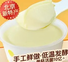 Creamy Milk Yogurt