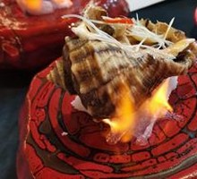 Flaming Abalone