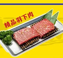 Premium Chicken Thigh Meat