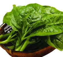 Black fungus vegetable