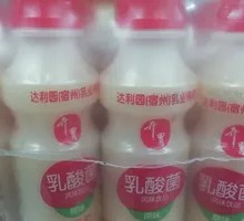 Daliyuan Lactic Acid Bacteria