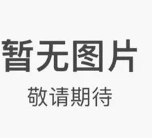 Scallion and Ginger Poached Chicken Rice